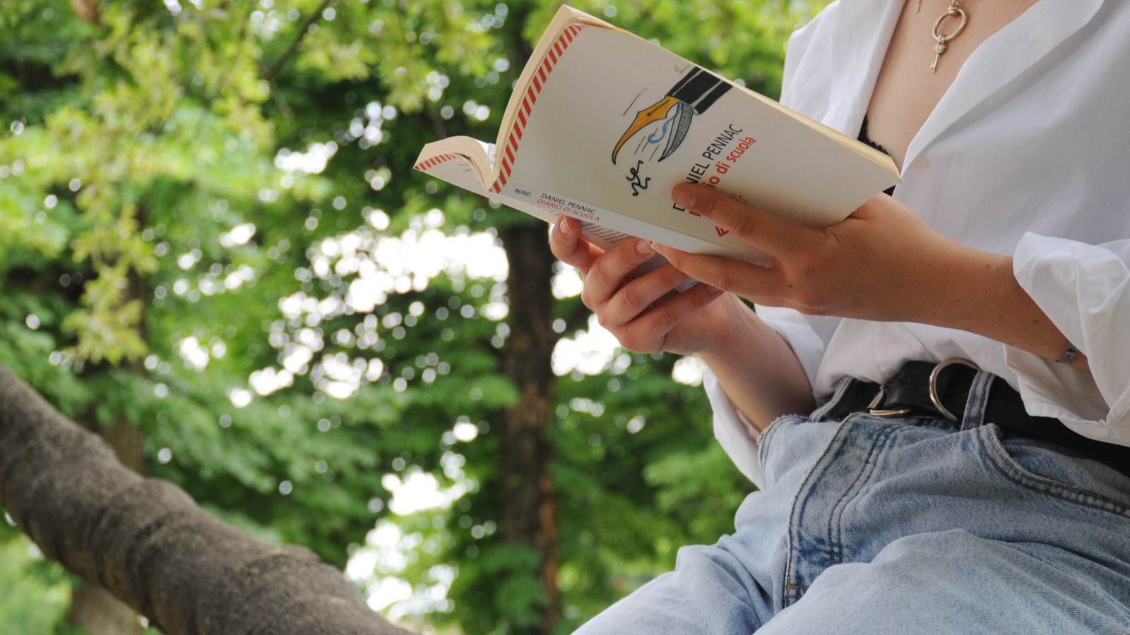 il libro, tenuto in mano da una giovane donna, è aperto a metà, come se lo stesse leggendo, sull'immagine si trova il titolo del libro, ovvero Diario di scuola, edito nel 2008 e scritto da Daniel Pennac