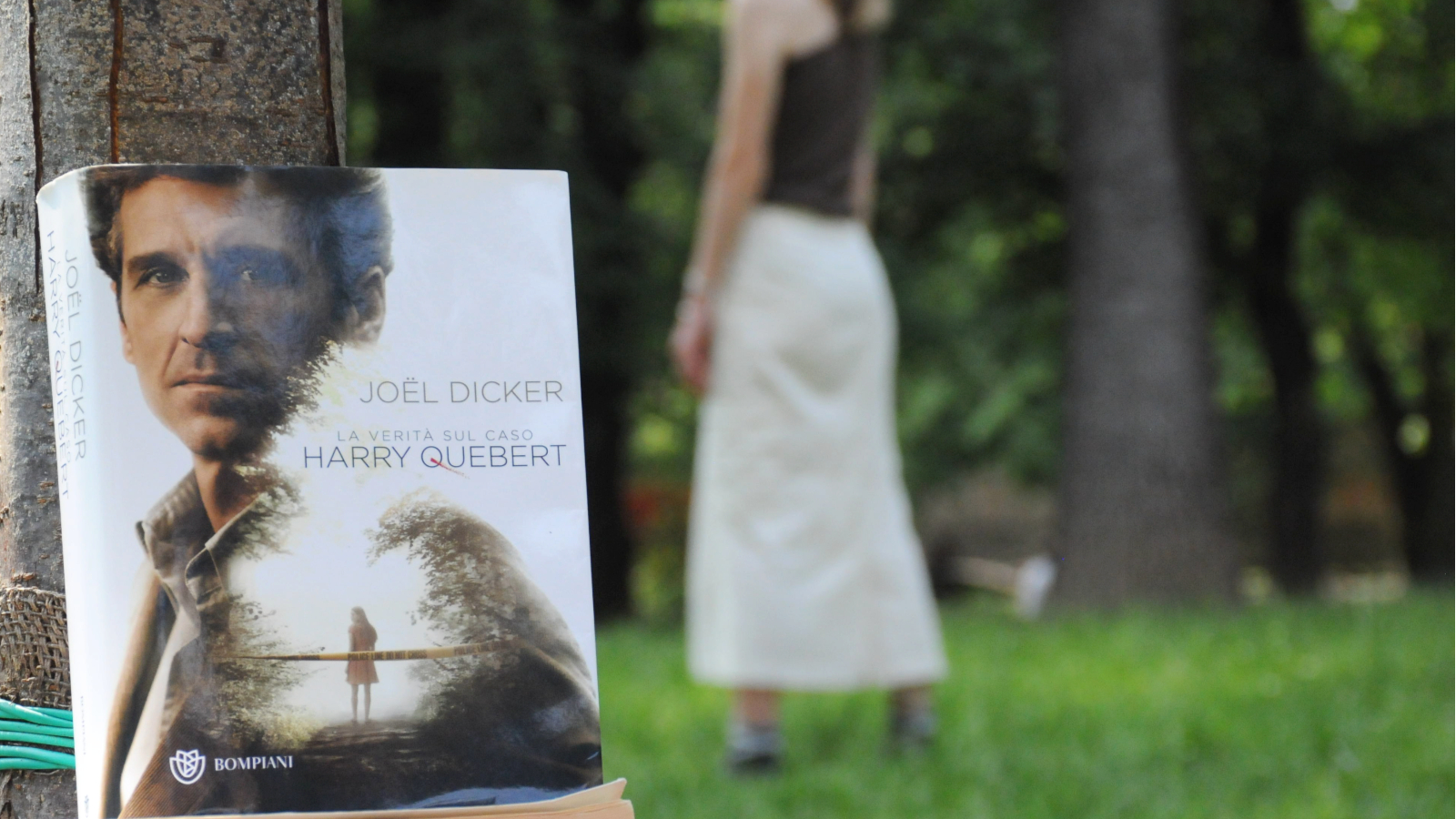 il libro giace poggiato ad un albero: sulla sua copertina possiamo notare una ragazza di spalle, mentre dietro al libro si vedono le gambe di una giovane donna di spalle, in piedi sull'erba, sull'immagine si trova il titolo del libro, ovvero La verità sul caso Harry Quebert, edito nel 2012 e scritto da Joël Dicker