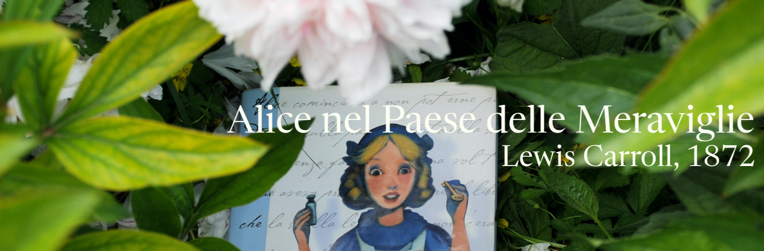 il libro è poggiato su un prato rigoglioso, su di esso si eleva un grande fiore bianco, sull'immagine si trova il titolo del libro, ovvero Alice nel Paese delle Meraviglie, edito nel 1872 e scritto da Lewis Carroll